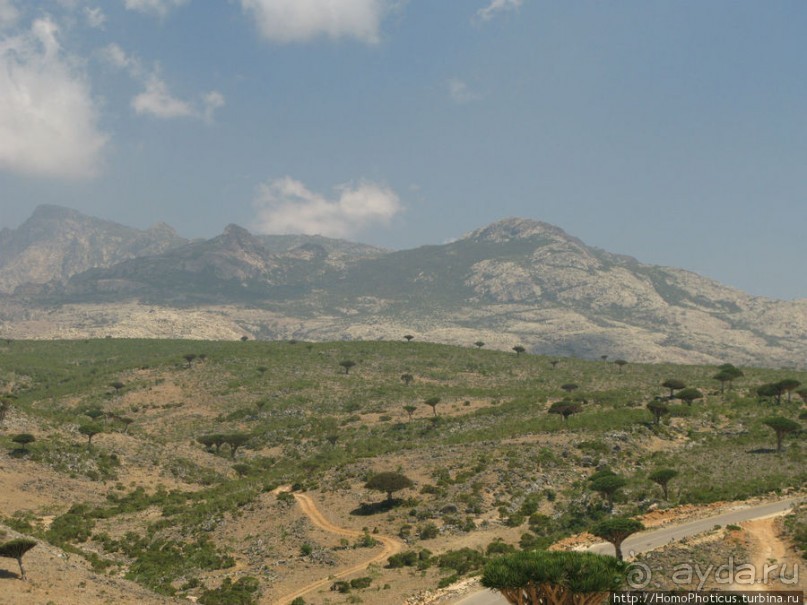 Зонты плато Диксам