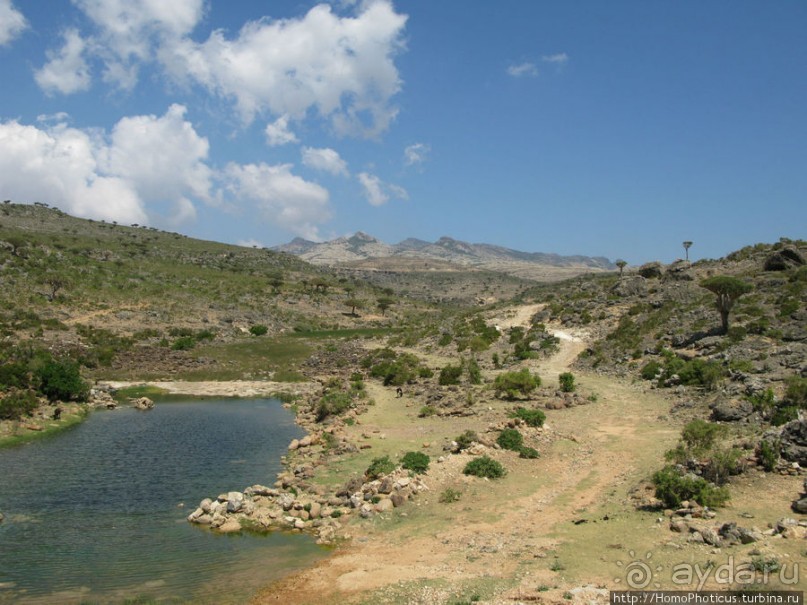 Зонты плато Диксам