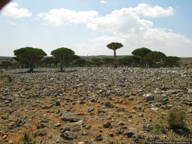 Зонты плато Диксам