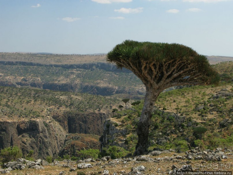 Зонты плато Диксам