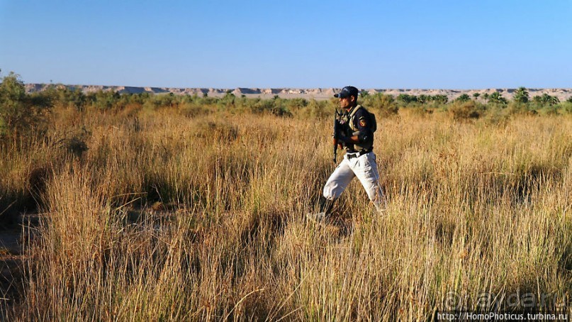 Ох, рано встает иракская охрана!