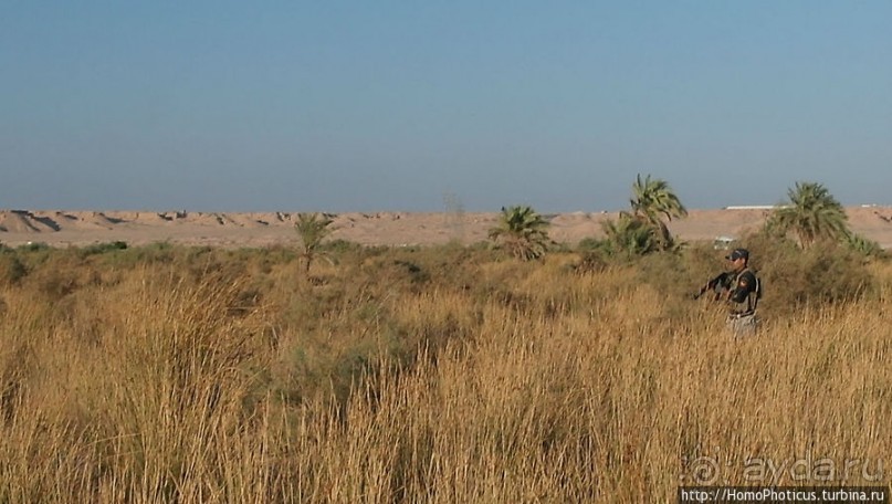 Ох, рано встает иракская охрана!