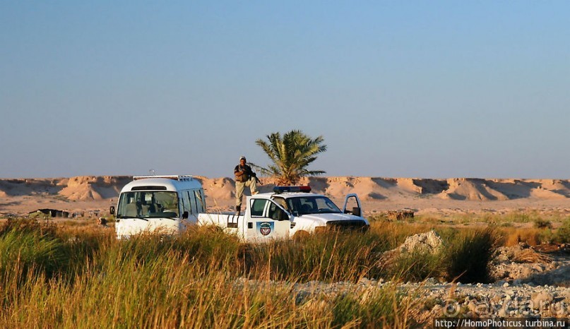 Ох, рано встает иракская охрана!