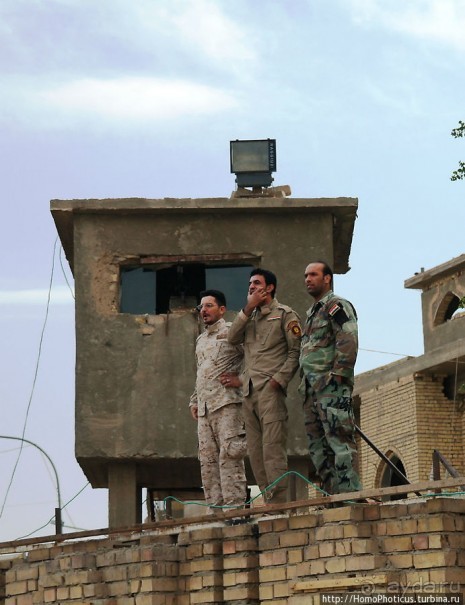 Ох, рано встает иракская охрана!