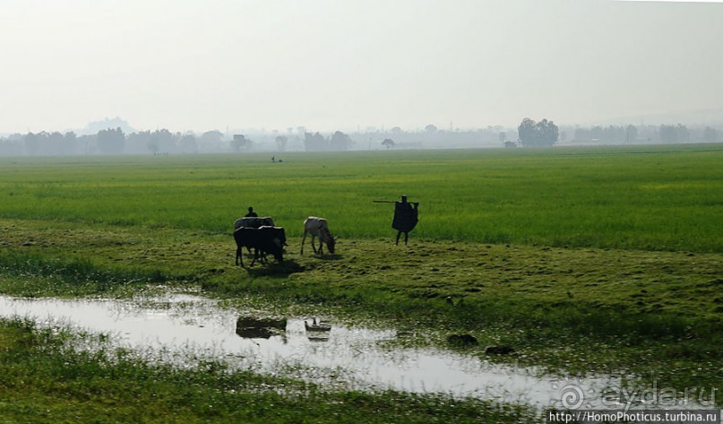 Эфиопская глубинка