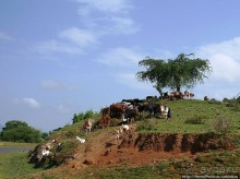 Эфиопская глубинка