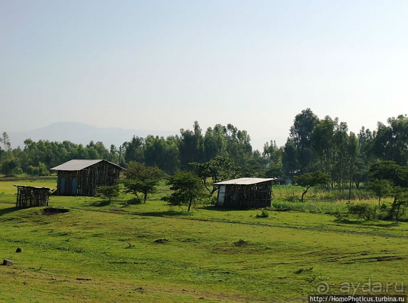Эфиопская глубинка