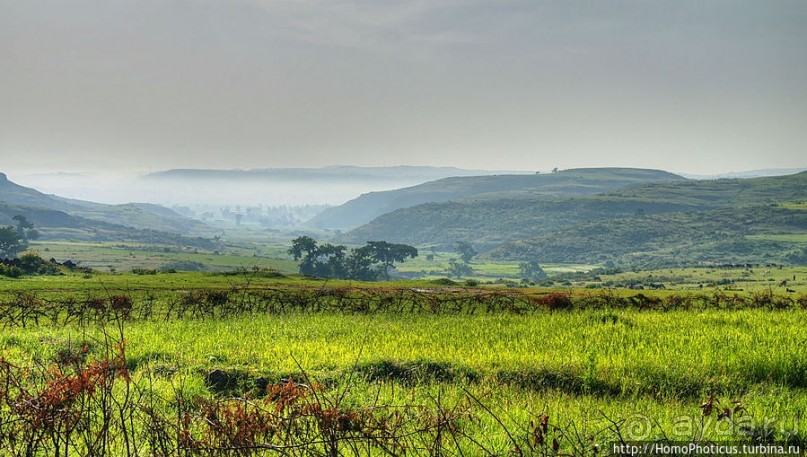 Эфиопская глубинка