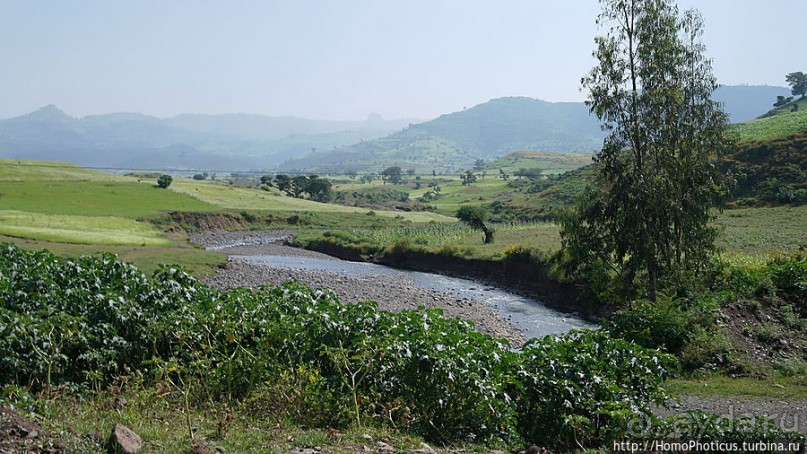 Эфиопская глубинка