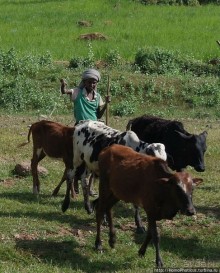 Эфиопская глубинка