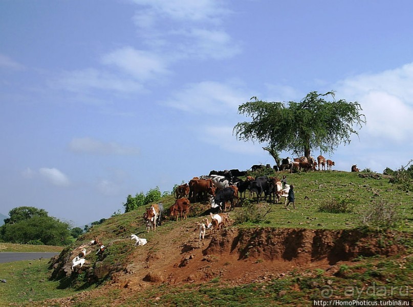 Эфиопская глубинка