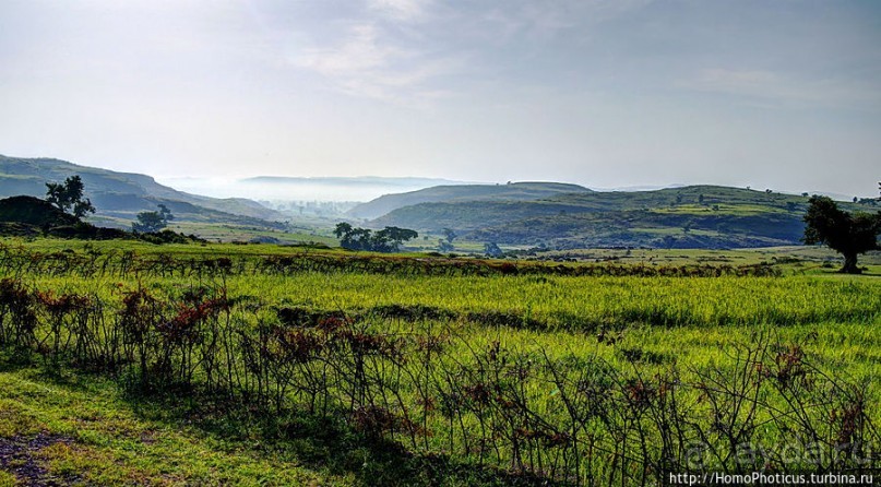 Эфиопская глубинка