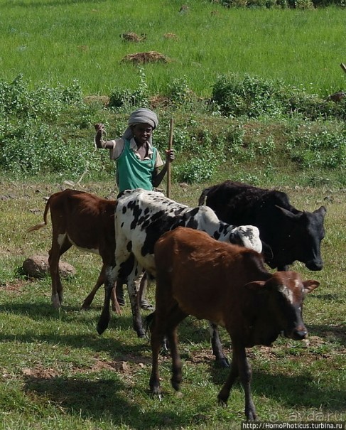 Эфиопская глубинка
