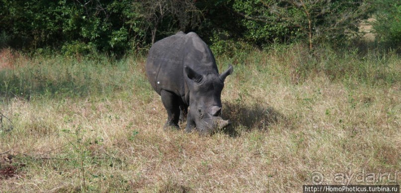Заповедник имени баобаба