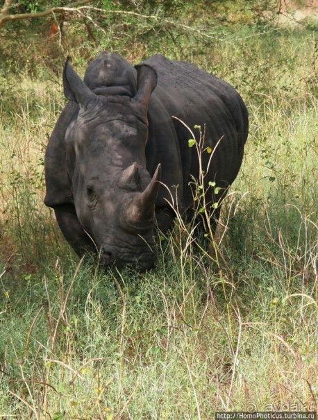 Заповедник имени баобаба