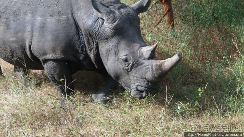 Заповедник имени баобаба