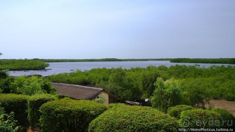 Заповедник имени баобаба