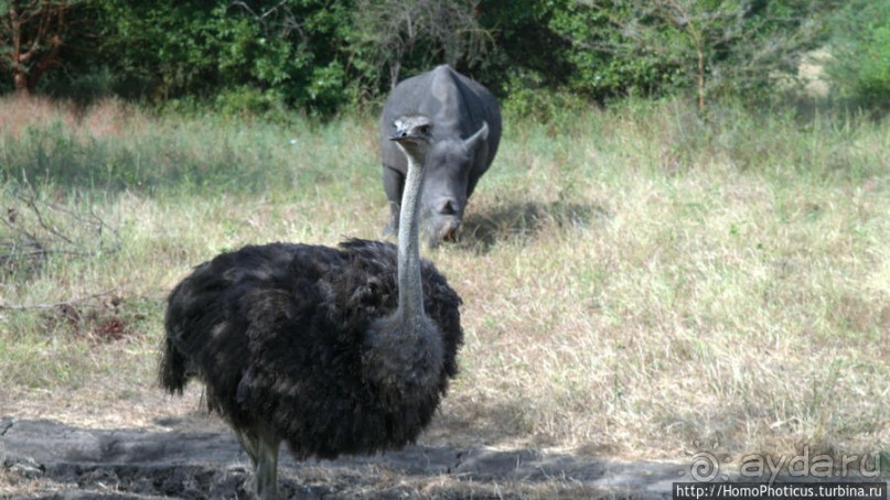 Заповедник имени баобаба