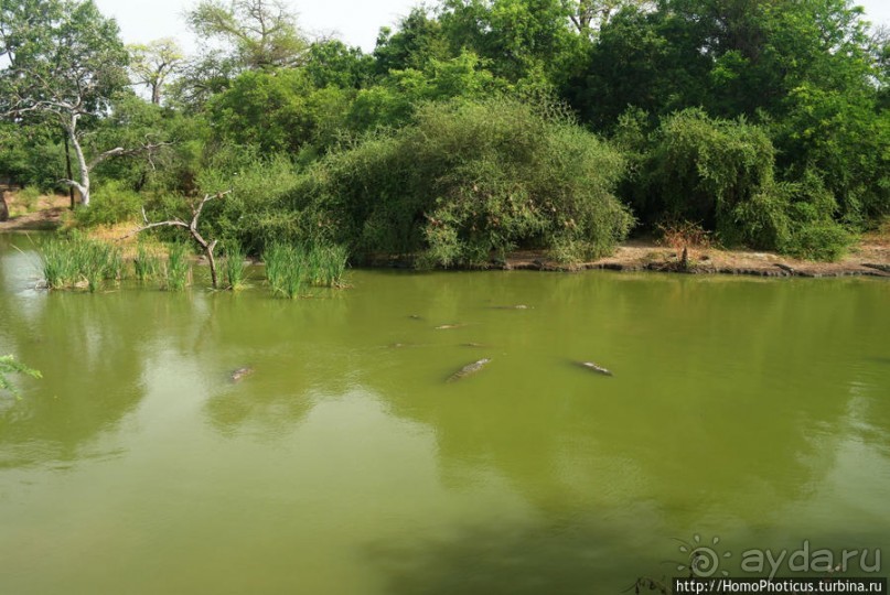 Заповедник имени баобаба