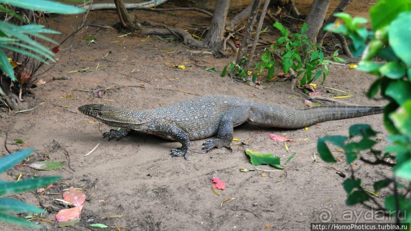 Заповедник имени баобаба