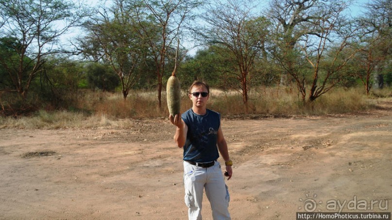 Заповедник имени баобаба