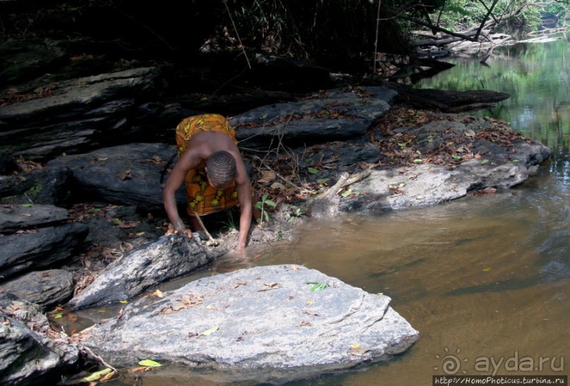 Пигмеи бака. Основы выживания в джунглях