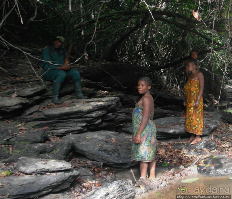 Пигмеи бака. Основы выживания в джунглях