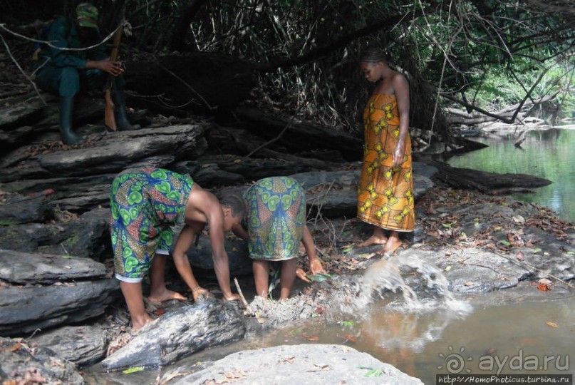 Пигмеи бака. Основы выживания в джунглях