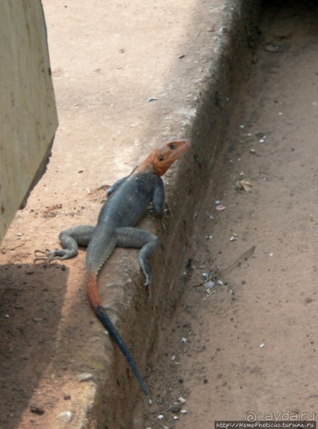 Яунде: столица и племя