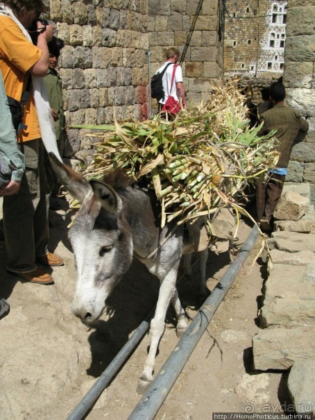 Бывшая кофейная столица