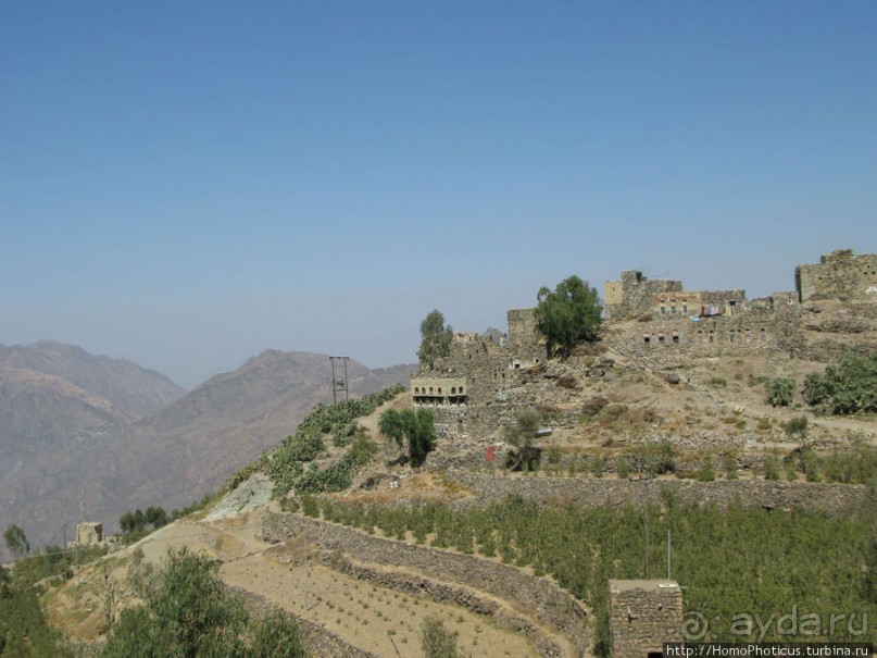 Бывшая кофейная столица