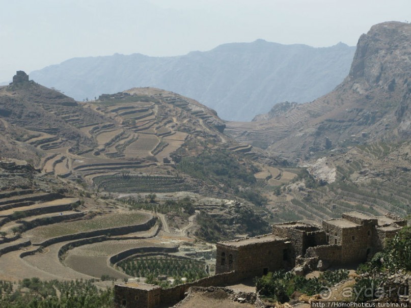 Бывшая кофейная столица