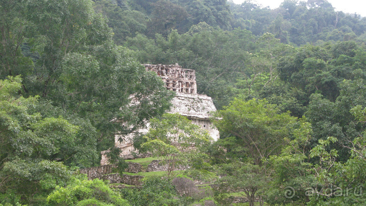 Мексиканские цивилизации