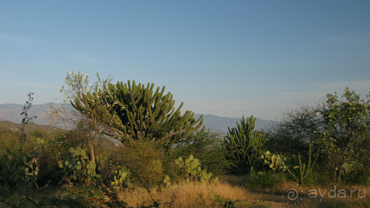 Мексиканские цивилизации