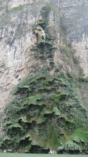 Мексиканские цивилизации