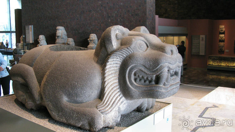 Мексиканские цивилизации