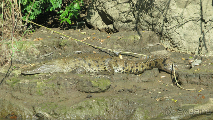 Мексиканские цивилизации
