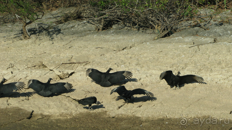 Мексиканские цивилизации