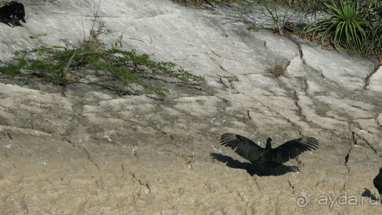 Мексиканские цивилизации