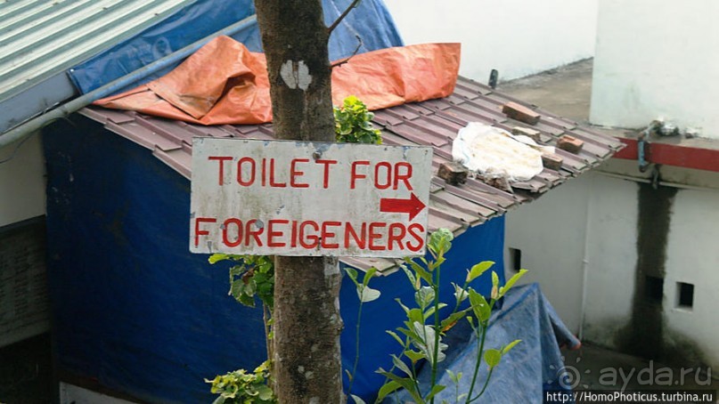 Долгая дорога к Золотому Камню