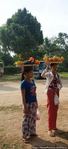 Долгая дорога к Золотому Камню