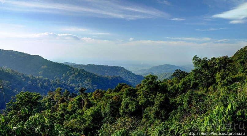 Долгая дорога к Золотому Камню