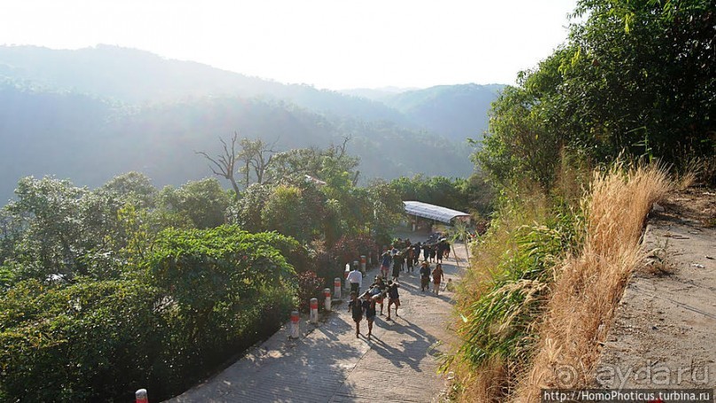 Долгая дорога к Золотому Камню