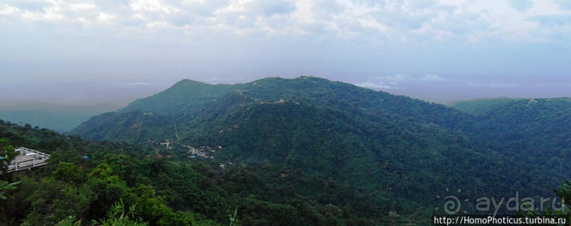 Долгая дорога к Золотому Камню