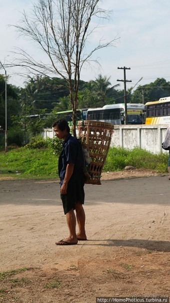 Долгая дорога к Золотому Камню