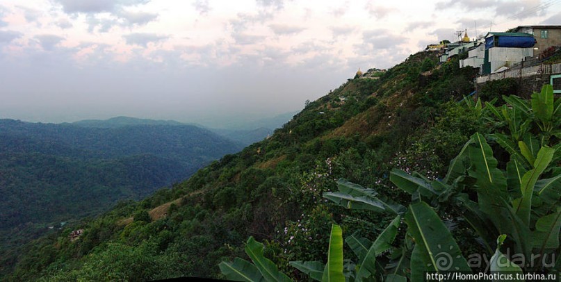 Долгая дорога к Золотому Камню