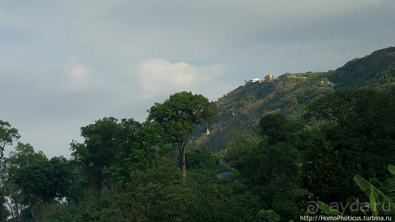 Долгая дорога к Золотому Камню