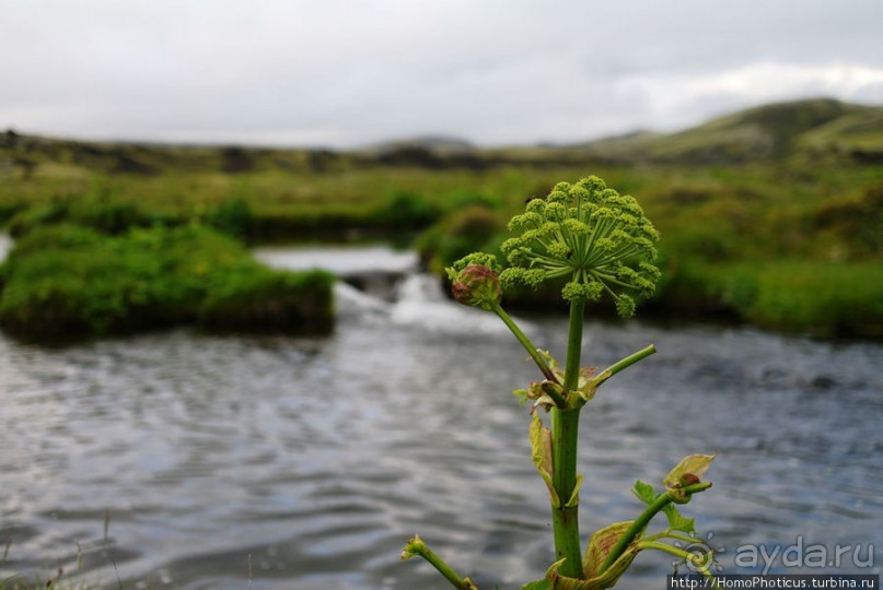 Кратер Тьярнаргигур
