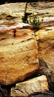 Разбойничье ущелье