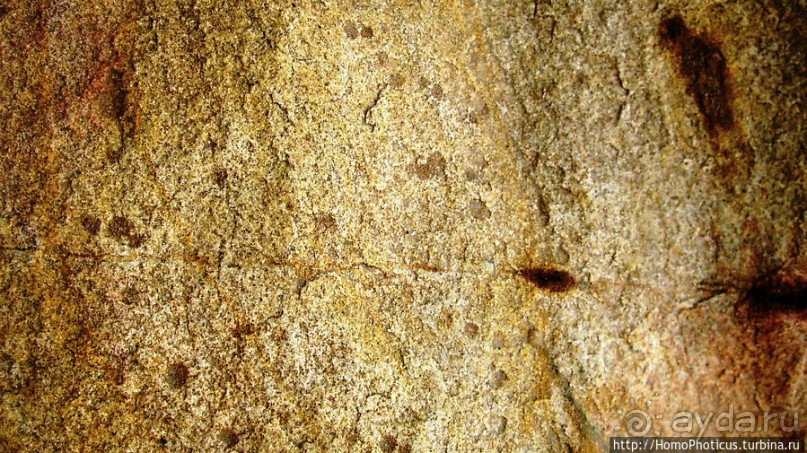 Альбом отзыва "Разбойничье ущелье"